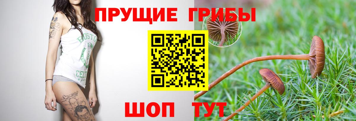 Когалым  сколько стоит  Вход с VPN  Галлюциногенные грибы MAGIC MUSHROOMS 