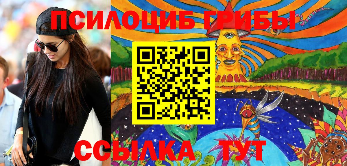 Псилоцибиновые грибы Psilocybine cubensis Когалым